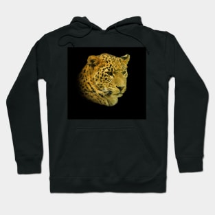 Leopard portrait Hoodie